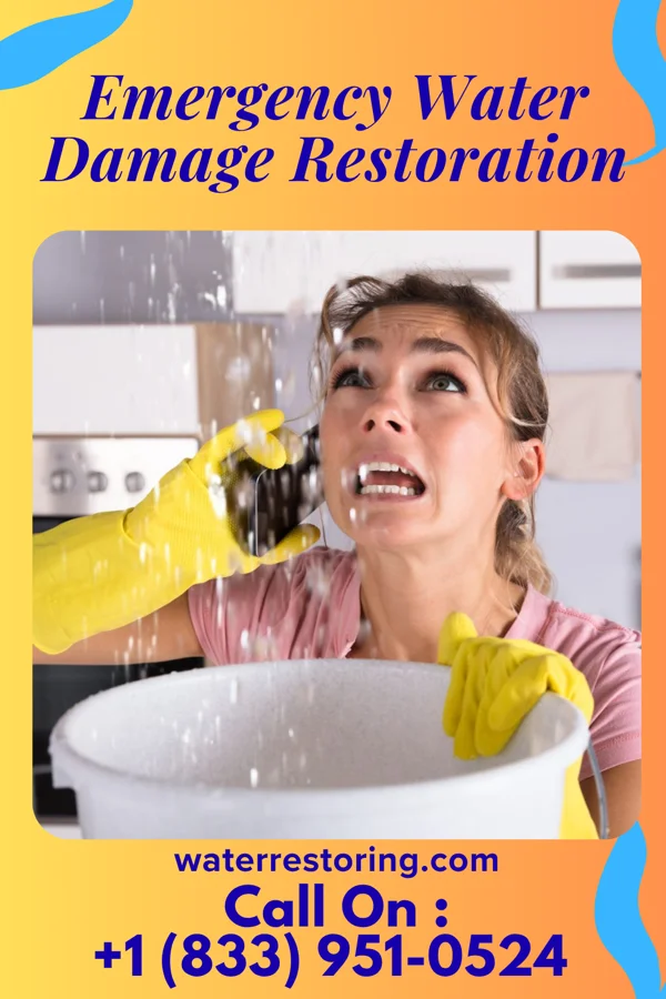 Emergency Water Damage Restoration in Peletier, NC