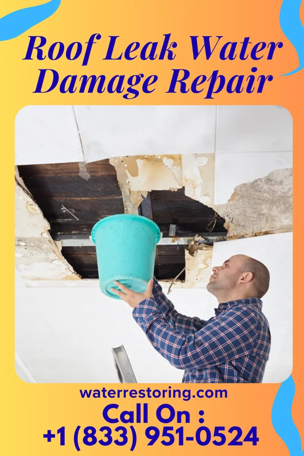 Roof Leak Water Damage Repair in Peletier, NC