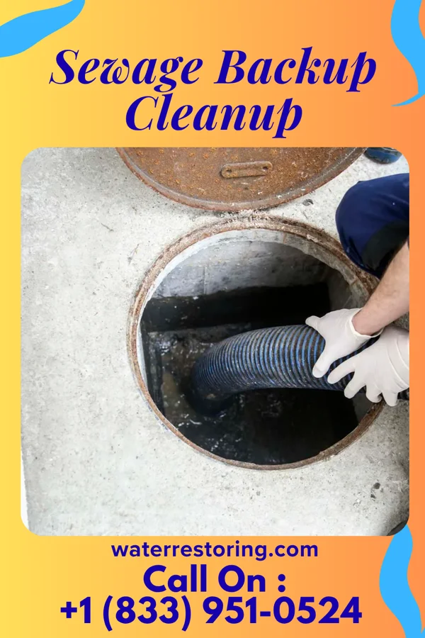Sewage Backup Cleanup in Peletier, NC