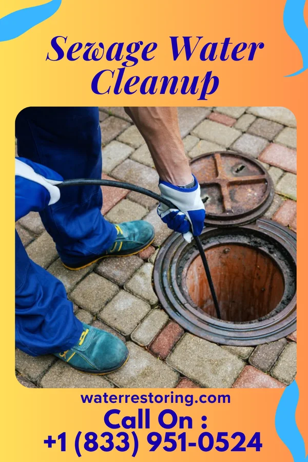 Sewage Water Cleanup in Peletier, NC